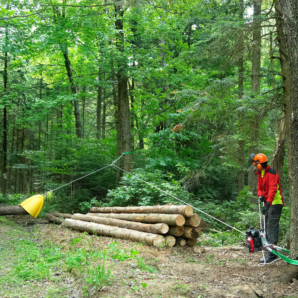 ZUGSCHALE FÜR HOLZSTÄMME