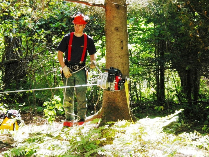 PLATEAU DE SUPPORT DE TREUIL