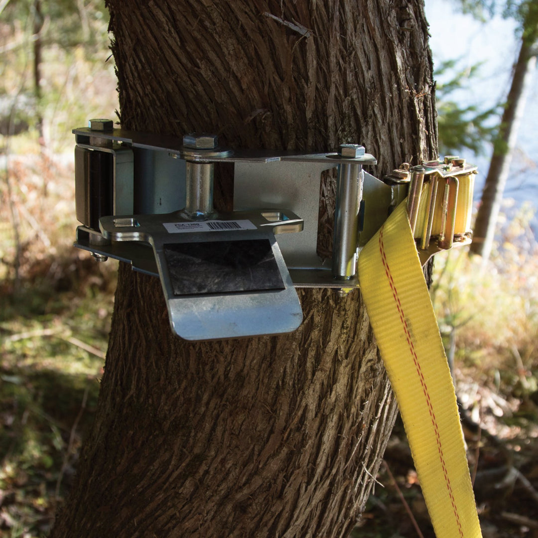 Système d'ancrage pour arbre
