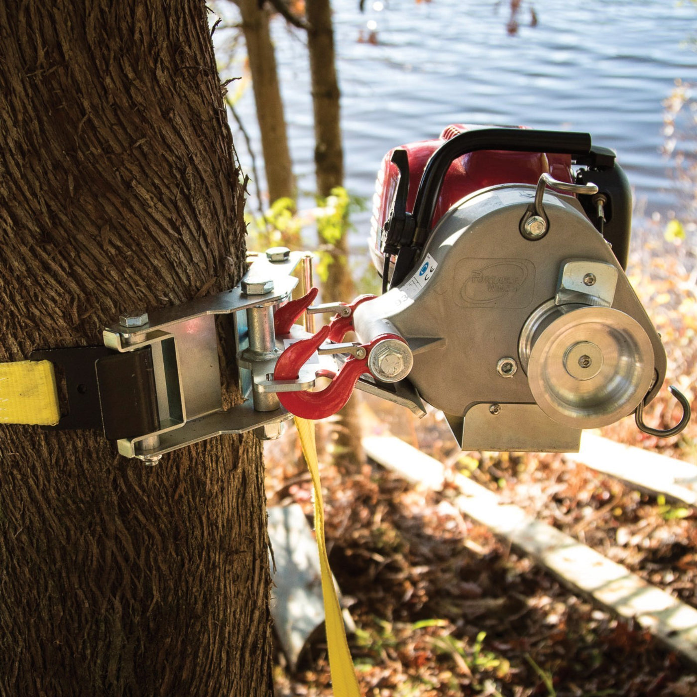 Tree-mount winch anchoring system