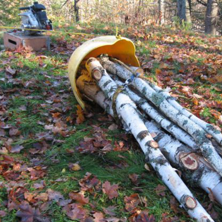 ZUGSCHALE FÜR HOLZSTÄMME