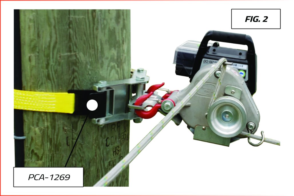 Tree-mount winch anchoring system